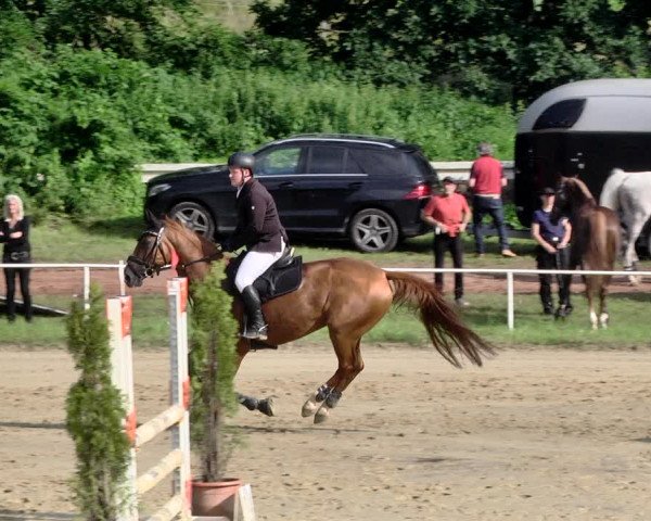 Reitturnier Heiligenwald 2021