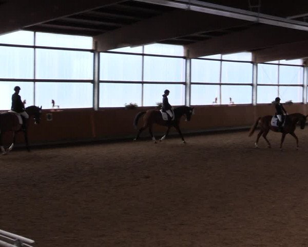 Reitturnier Herbern 2021