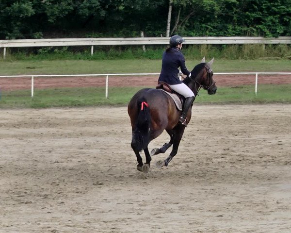 Reitturnier Heiligenwald 2021