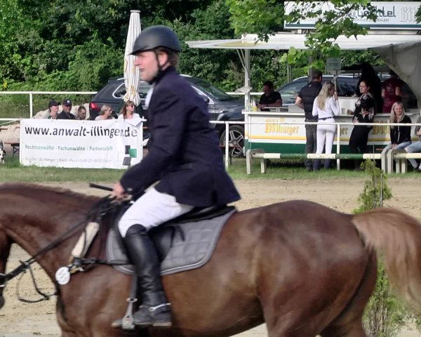 Reitturnier Heiligenwald 2021
