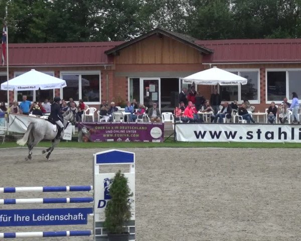 Giebelwald Classics mit Westfälische Meisterschaften Dressur und Springen 2021
