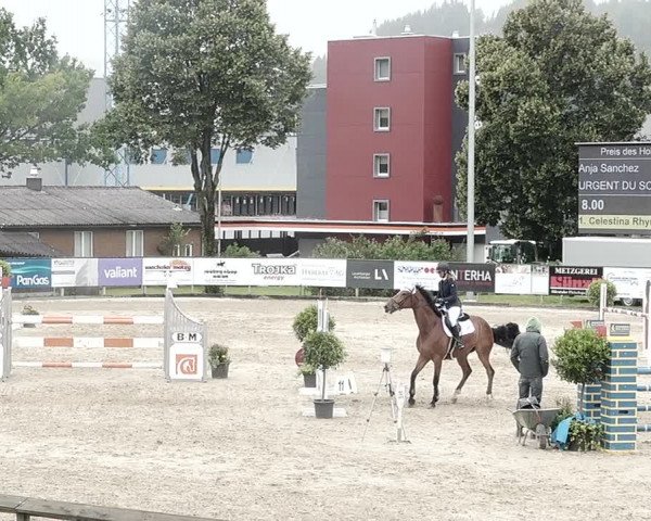 Reitturnier Dagmersellen 2021