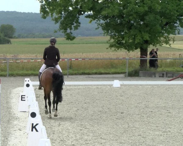 Reitturnier Ehningen 2021