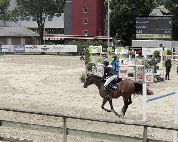 Reitturnier Dagmersellen 2021