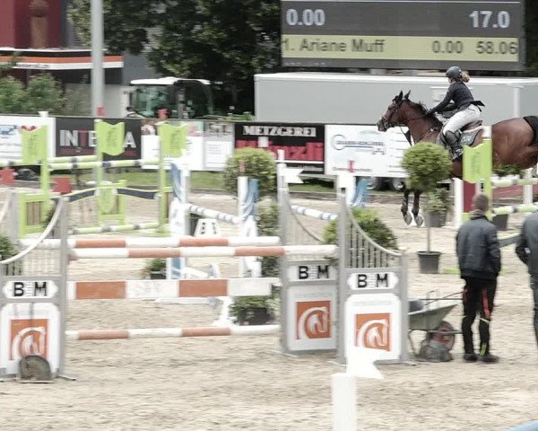 Reitturnier Dagmersellen 2021