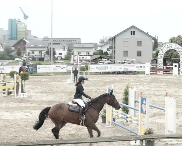 Reitturnier Dagmersellen 2021