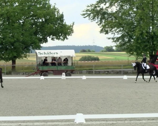 Reitturnier Ehningen 2021