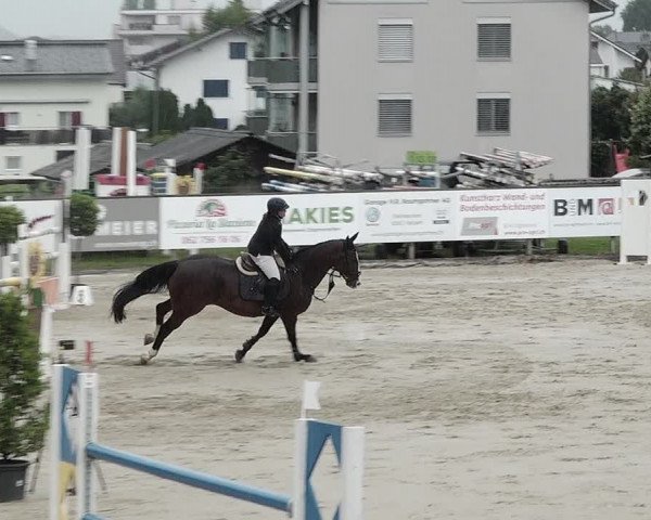 Reitturnier Dagmersellen 2021