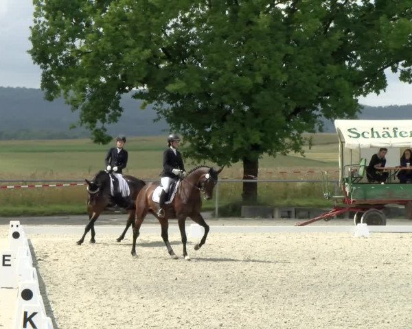 Reitturnier Ehningen 2021