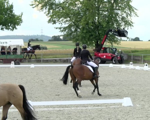 Reitturnier Ehningen 2021