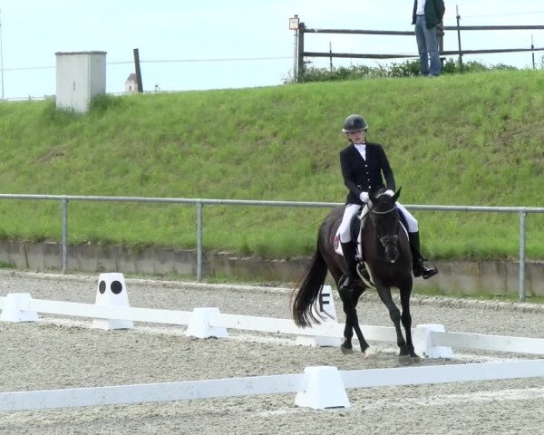 Reitturnier Ehningen 2021