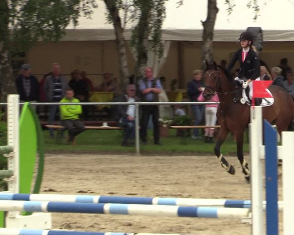Reitturnier Herbern 2021