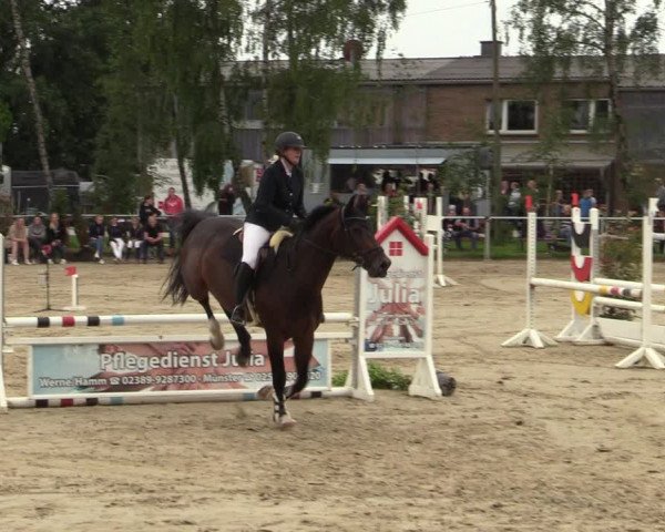 Reitturnier Herbern 2021