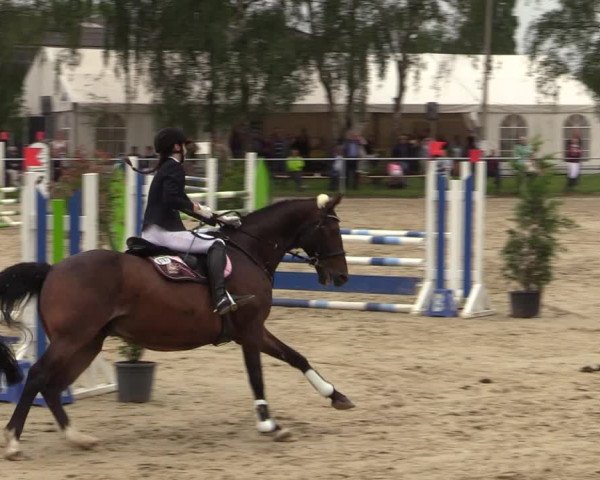 Reitturnier Herbern 2021