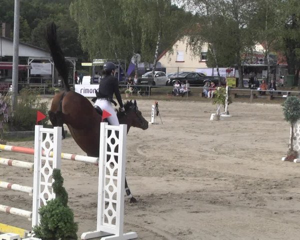 Reitturnier Neunkirchen-City 2021