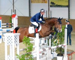 jumper Caramba 74 (Westphalian, 2008, from Cornado NRW)