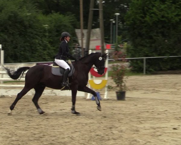 Reitturnier Herbern 2021
