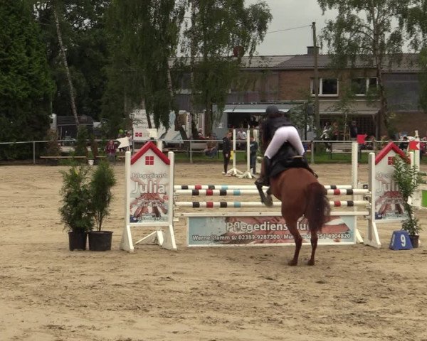 Reitturnier Herbern 2021