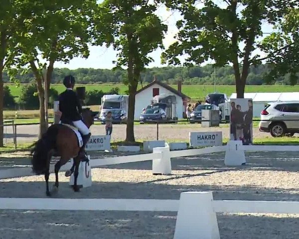Reitturnier Rot am See- Musdorf 2021
