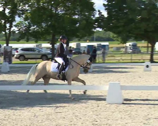 Reitturnier Rot am See- Musdorf 2021