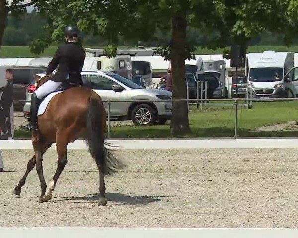 Reitturnier Rot am See- Musdorf 2021