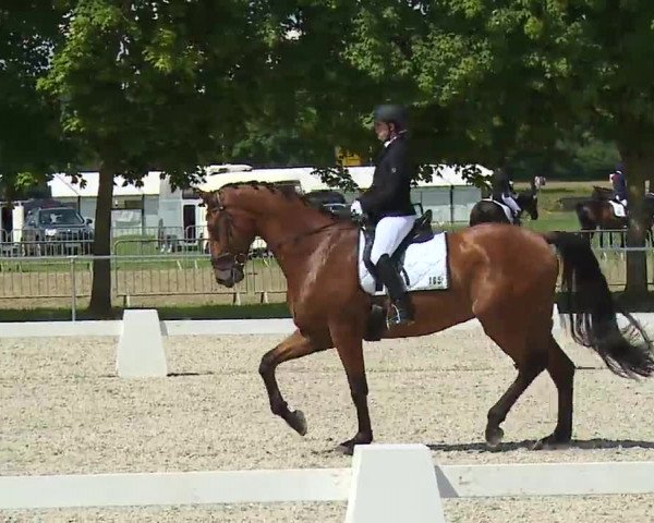 Reitturnier Rot am See- Musdorf 2021