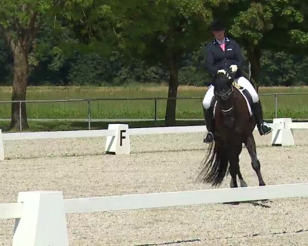 Reitturnier Rot am See- Musdorf 2021