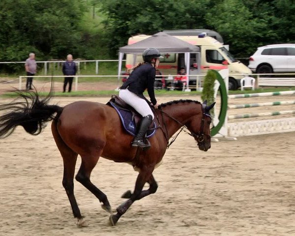 Reitturnier Heiligenwald 2021