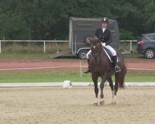 Reitturnier Heiligenwald 2021