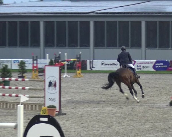 Giebelwald Classics mit Westfälische Meisterschaften Dressur und Springen 2021