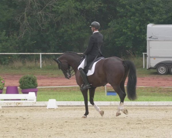 Reitturnier Heiligenwald 2021