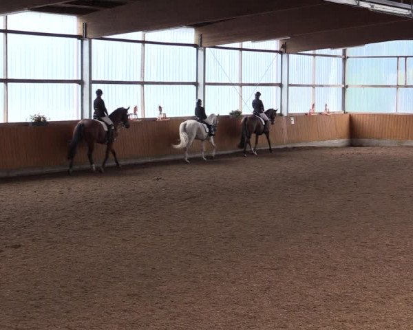 Reitturnier Herbern 2021