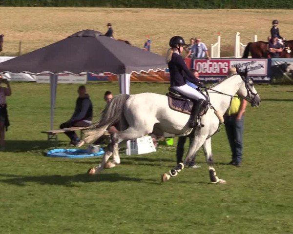 Reitturnier Süderbrarup-Güderott 2021