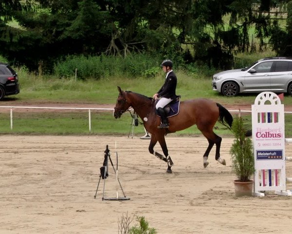 Reitturnier Heiligenwald 2021