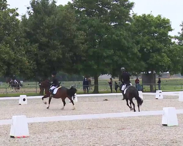 Reitturnier Rot am See- Musdorf 2021