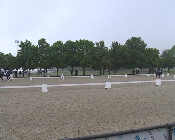 Reitturnier Rot am See- Musdorf 2021