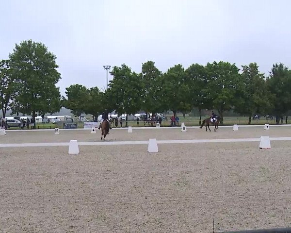 Reitturnier Rot am See- Musdorf 2021