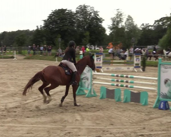 Reitturnier Herbern 2021