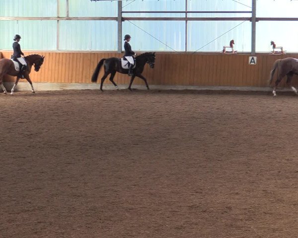 Reitturnier Herbern 2021