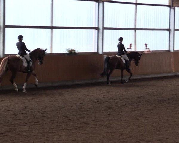 Reitturnier Herbern 2021