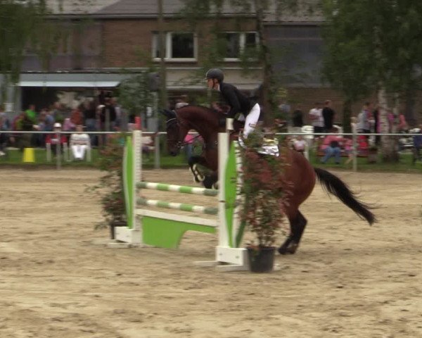 Reitturnier Herbern 2021