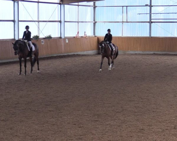 Reitturnier Herbern 2021