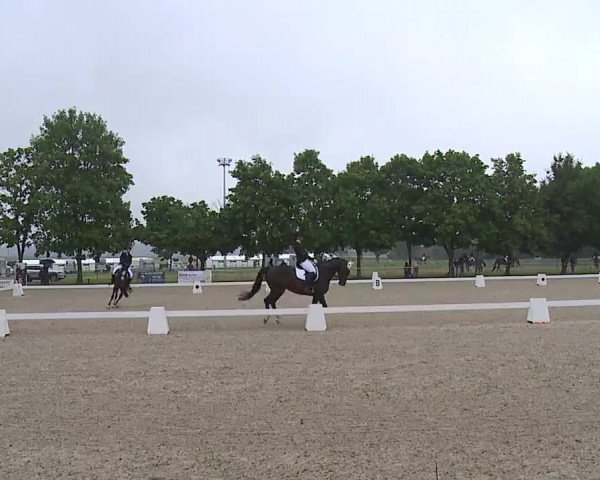 Reitturnier Rot am See- Musdorf 2021