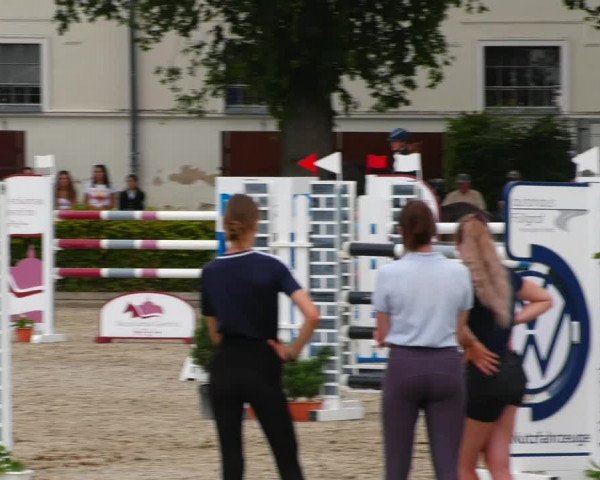 Reitturnier Neustadt/Dosse 2021