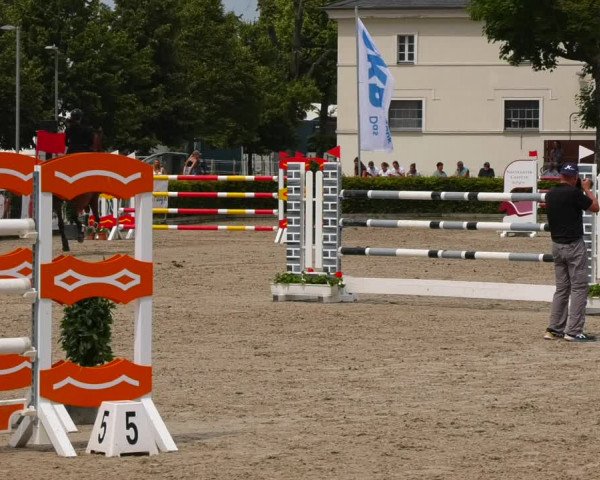 Reitturnier Neustadt/Dosse 2021