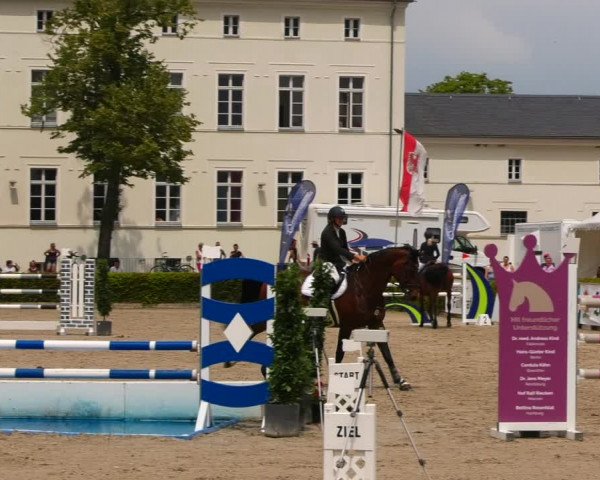 Reitturnier Neustadt/Dosse 2021