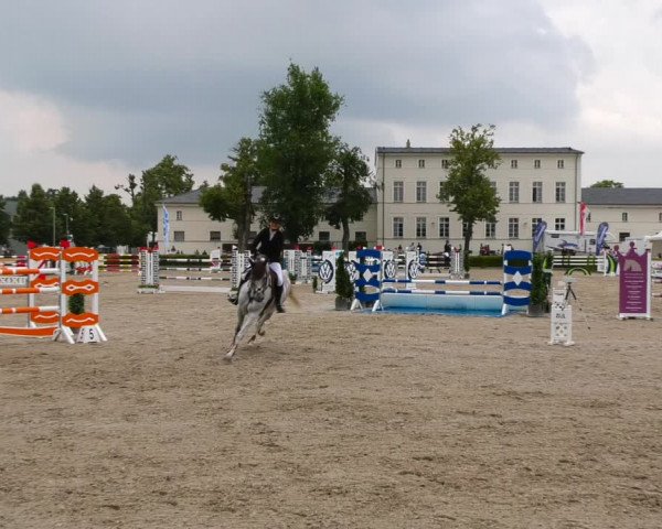 Reitturnier Neustadt/Dosse 2021