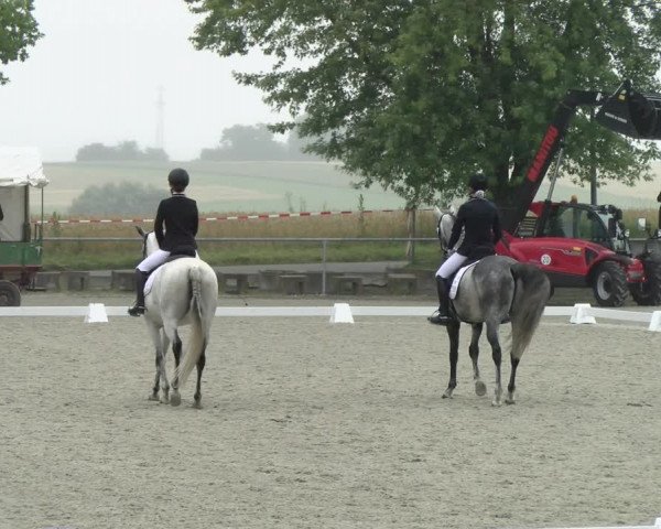 Reitturnier Ehningen 2021