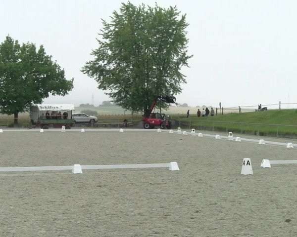 Reitturnier Ehningen 2021