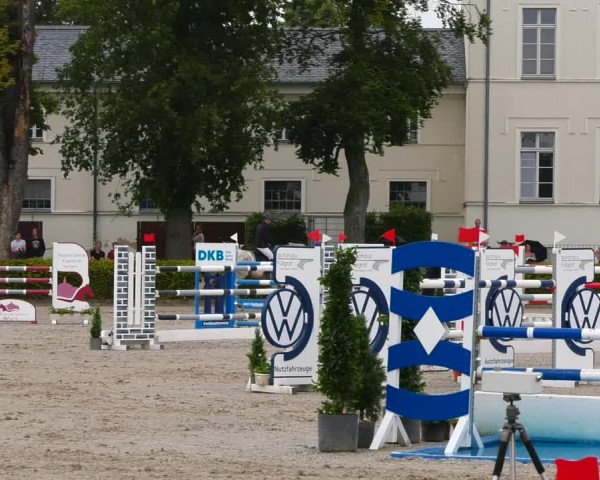 Reitturnier Neustadt/Dosse 2021